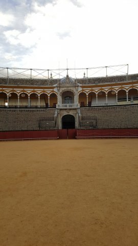 s294 maestranza